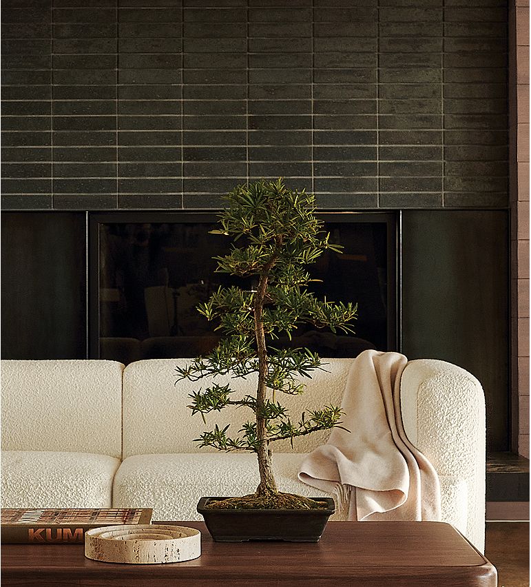 Shop Sectionals
