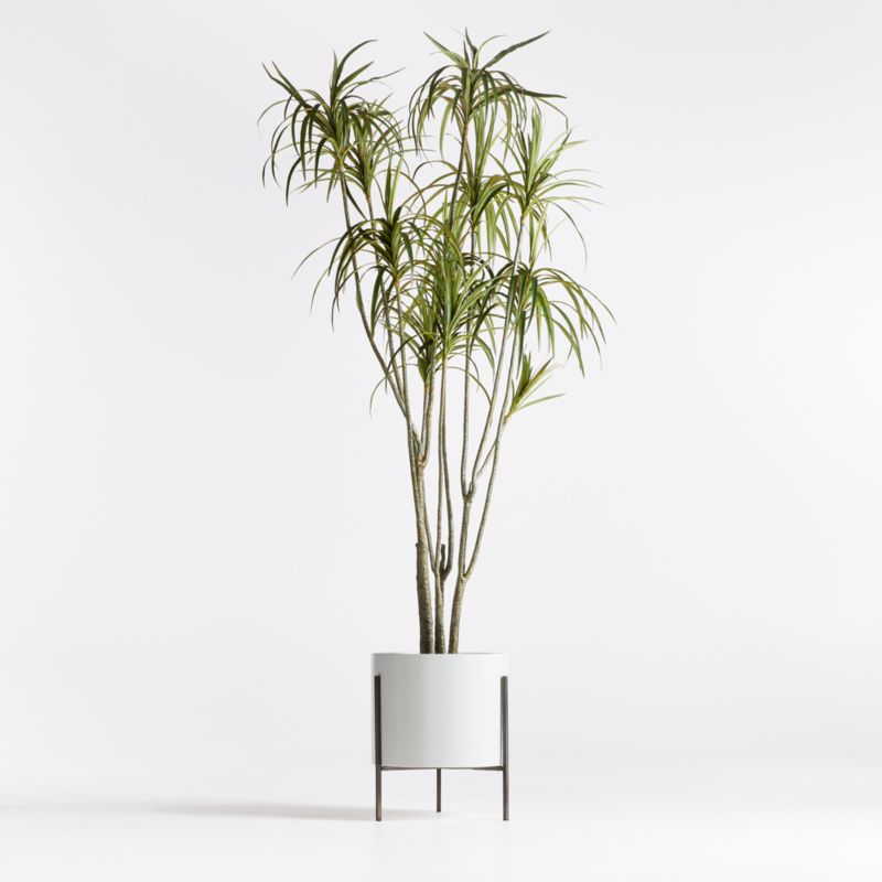 Potted Faux Dracaena 6.5'