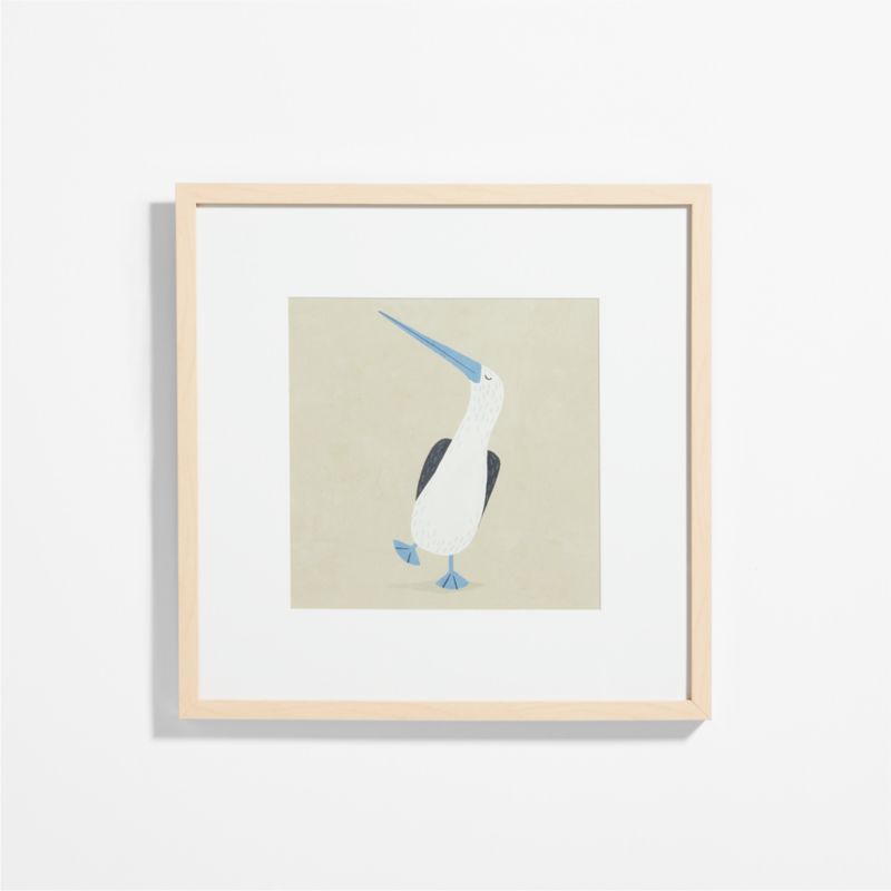 Blue Footed Bird Framed Wall Art Print