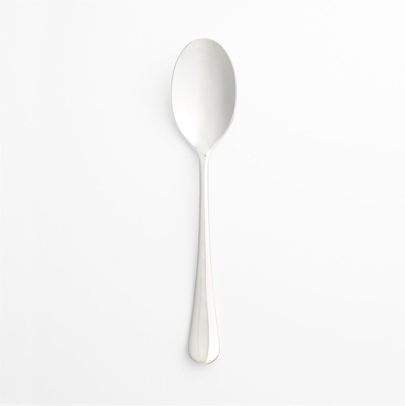 Caesna Mirror Mustard Spoon by Robert Welch + Reviews | Crate & Barrel