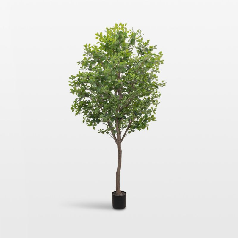Potted Faux Norway Spruce Pre-Lit LED Tree with White Lights 5' +