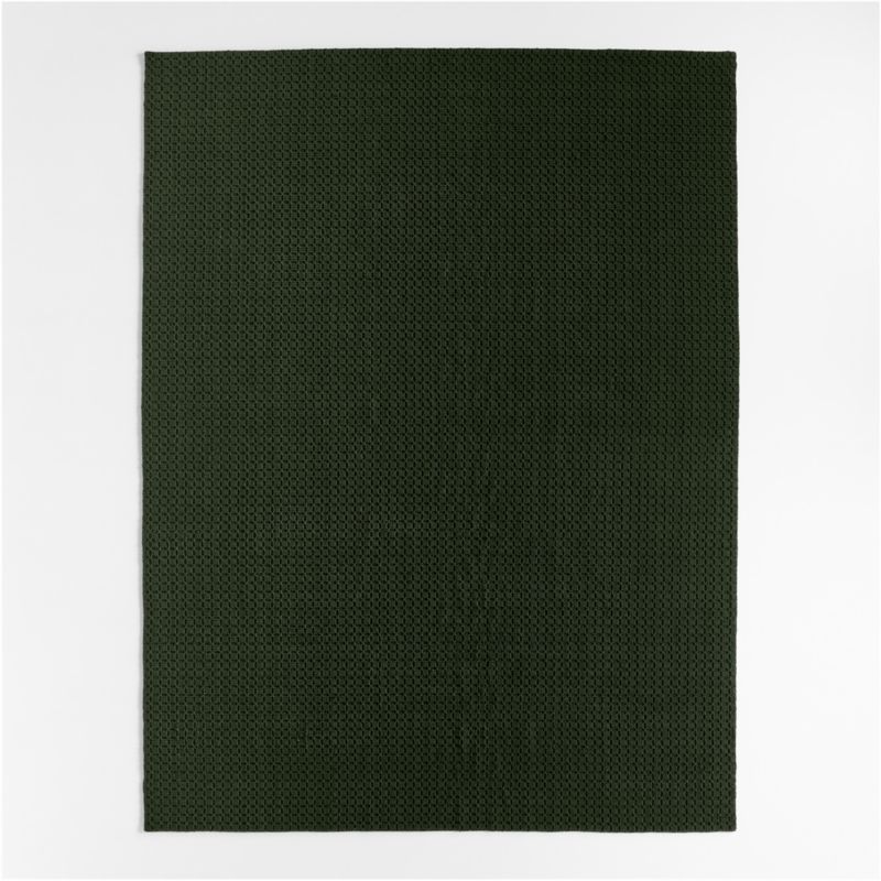 Northbrook Wool Handwoven Green Area Rug 8'x10' + Reviews | Crate