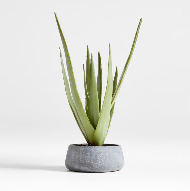 Potted Faux Agave