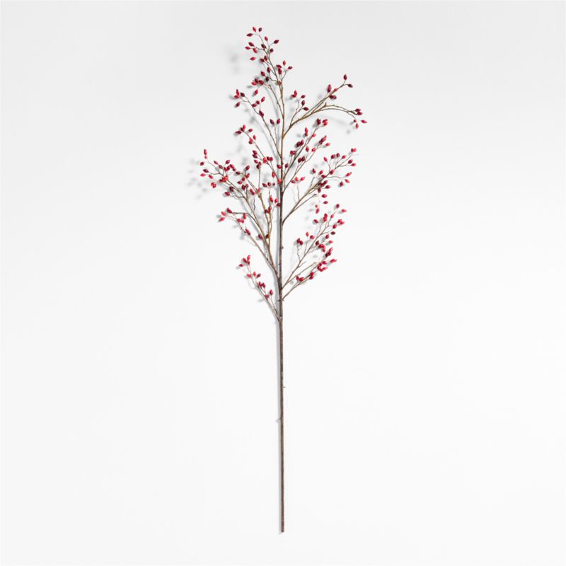 Red Rose Hip Holiday Stem 60"