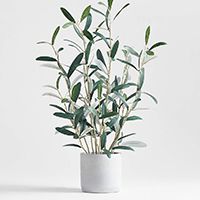 Potted Faux Olive Tree 22"