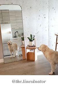 ready for a refresh?