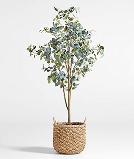 Faux Silver Dollar Eucalyptus Tree