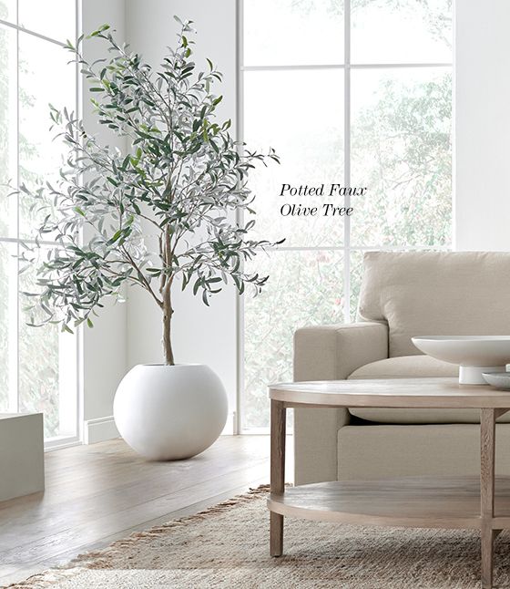 Potted faux olive tree