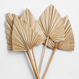 Dried Palm Leaves, Set of 5