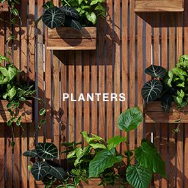 planters