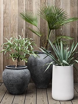 outdoor planters