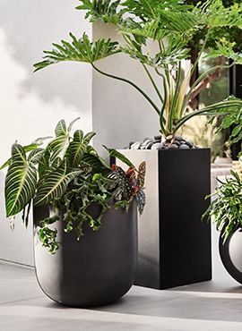 Outdoor Decor