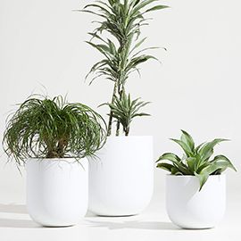 Junio Round White Planters