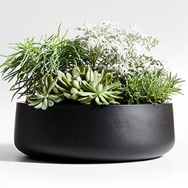 Saabira Tabletop Black Planter