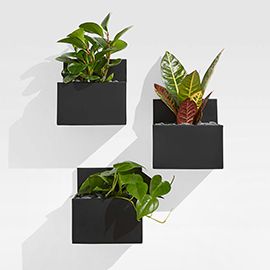 Pocket Black Wall Planters