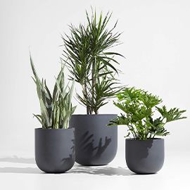 Junio Round Dark Grey Planters