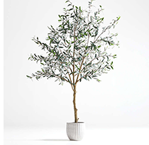 7' Faux Olive Tree in Pot