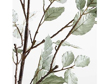 Faux Sage Green Leaf Branch 66"