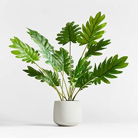 Potted Faux Philodendron