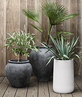 planters