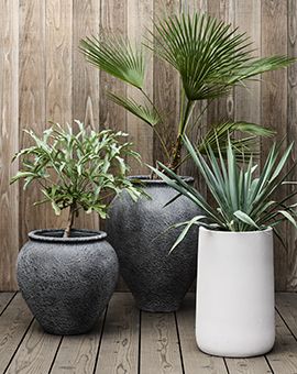 planters