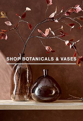 shop botanicals & vases