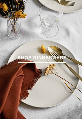 shop dinnerware