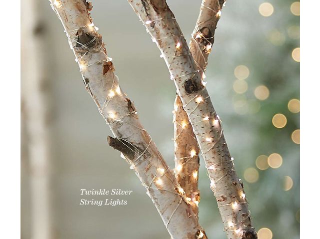 Twinkle silver string lights