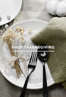 shop thanksgiving