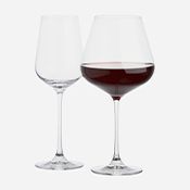 hip wine glasses