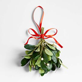 Faux Mistletoe