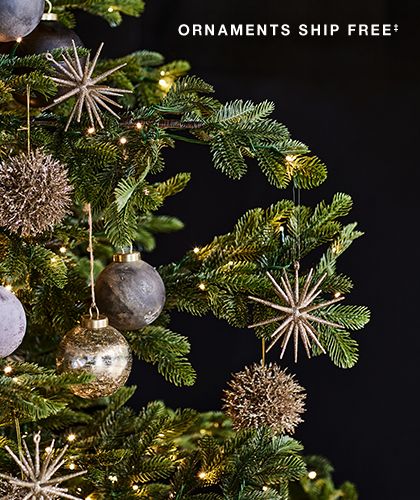 the ornament shop