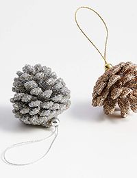 pinecones ornament