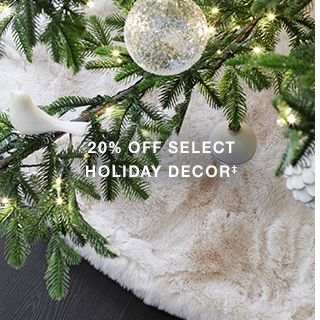 20% OFF SELECT HOLIDAY DECOR