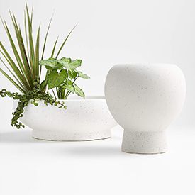 jimena planters