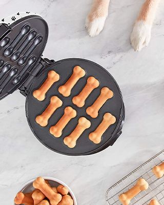 Dash® Express Dog Treat Maker