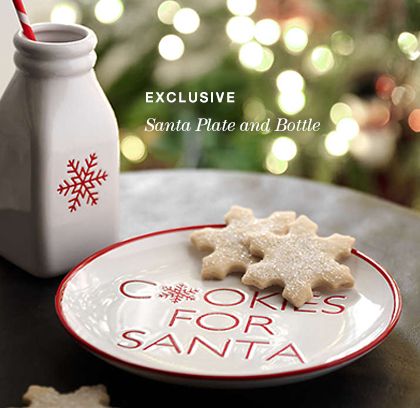 santa plate and bottle