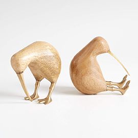 Kiwi Bird Set of 2