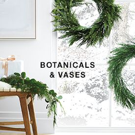 botanicals and vases