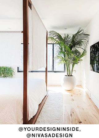 bringing outdoors in