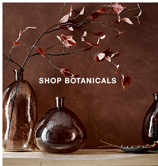 Shop Botanicals