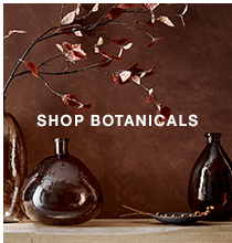 Shop Botanicals