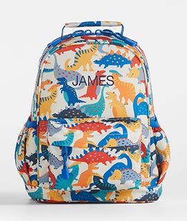 Dinosaur Party Kids Backpack with Side Pockets