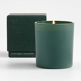 Monochrome No. 03 Evergreen 1-Wick Scented Candle