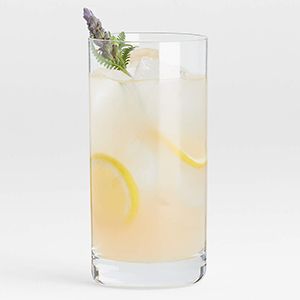 Aspen Highball Glass