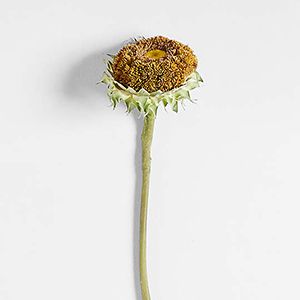 Faux Sunflower Stem