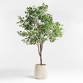 Potted Faux Triangle Ficus Tree