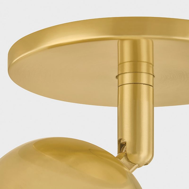 Tuthill Brass Sconce and Flush Mount - image 7 of 10