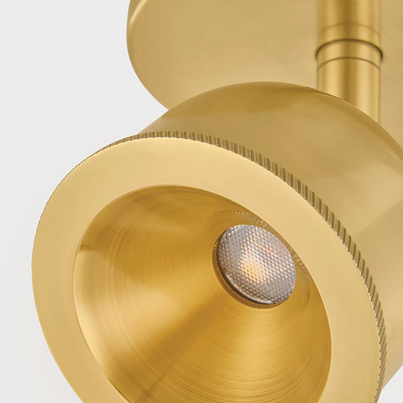 Tuthill Brass Sconce and Flush Mount - image 5 of 10