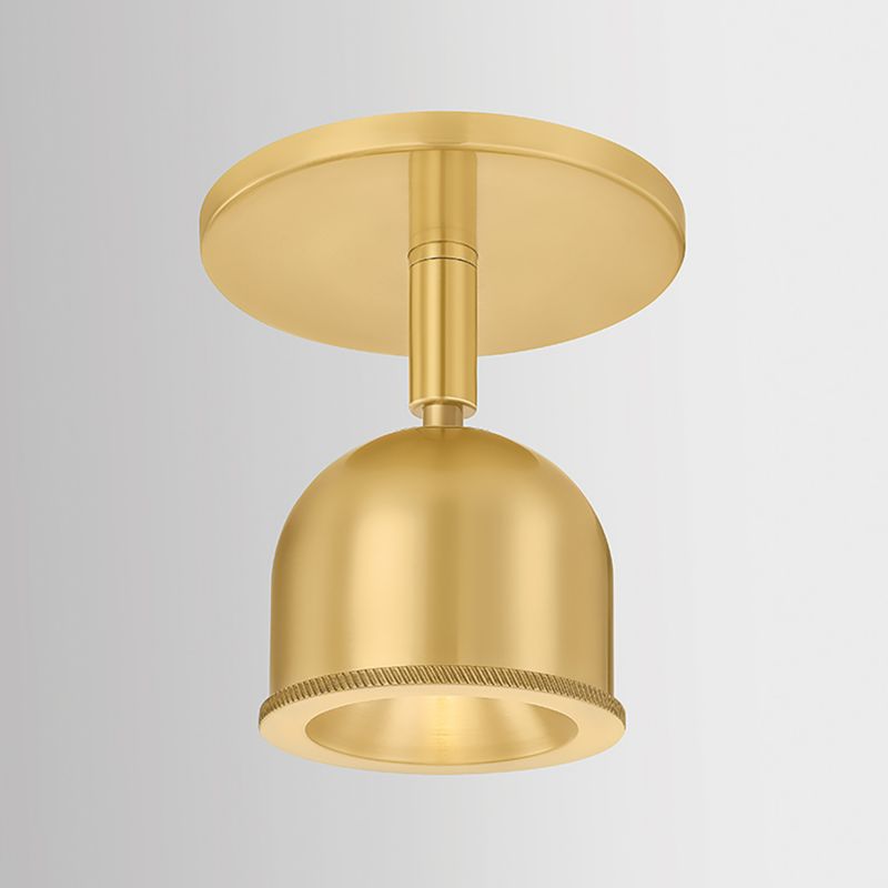 Tuthill Brass Sconce and Flush Mount - image 3 of 10